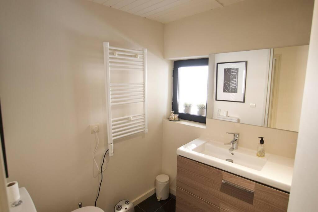 Apartament Central Amb Terrassa Alp Eksteriør bilde